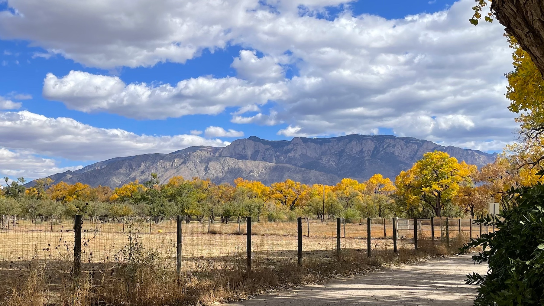 Corrales Road